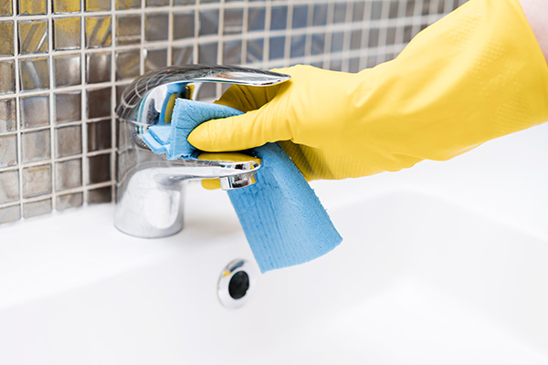 Fortnightly House Cleaning